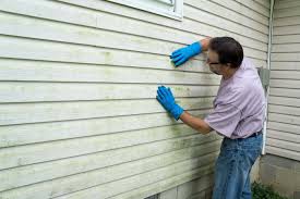 Best Storm Damage Siding Repair  in Mendon, IL